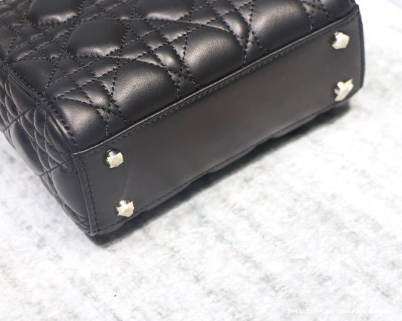 Tony Luxuries Mini With Lambskin diro Lady 0712